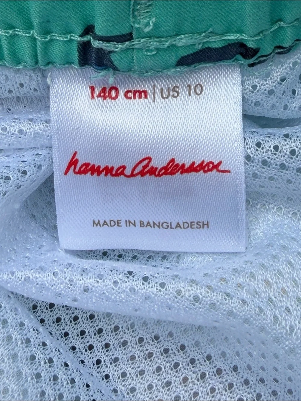 KIDS HANNA ANDERSSON Dinosaur Print Swim Trunks - Aqua - SIZE 10